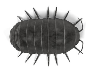 3d render of armadillidium vulgare