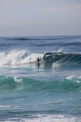 Longboard surfing California, USA