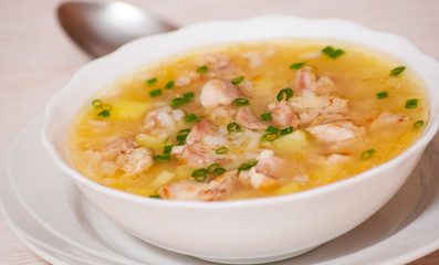 chicken soup with vegetables and rice