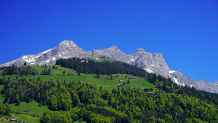 Fototapeta na wymiar View of mountains and forest Engelberg, Switzerland