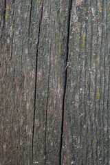 Very old wooden board