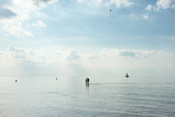 Low tide in the Baltic Sea on a sunny summer day