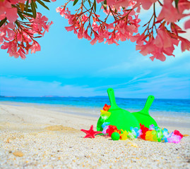 Fototapeta na wymiar beach rackets under pink flowers