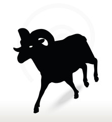 big horn sheep  silhouette in running  pose