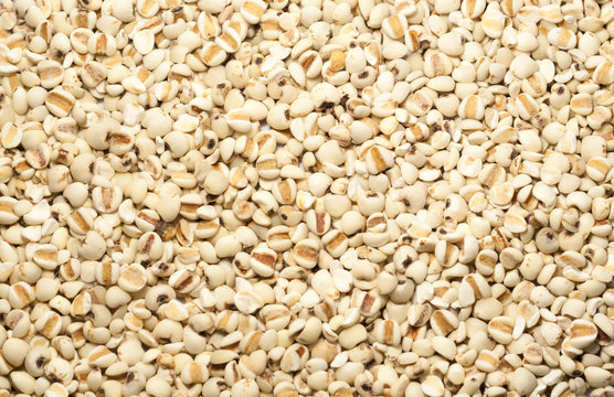millet background