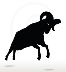 big horn sheep  silhouette in attacking  pose