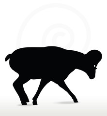 big horn sheep  silhouette in down the hill pose
