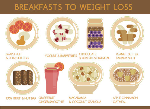 Breakfasts to weight loss vector