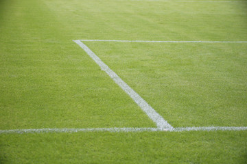 Obraz premium Fußballplatz - Naturrasen in einem Stadion