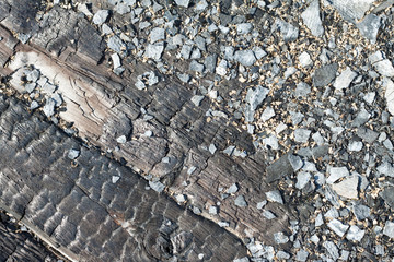 burned timber wall