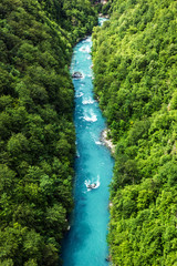 mountain river Tara. Natural landscape, Montenegro