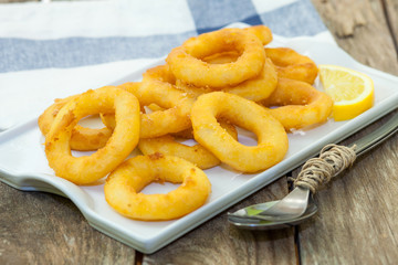 Calamari italian style