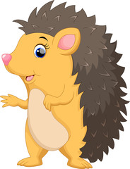 Cute hedgehog cartoon © irwanjos