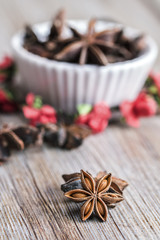 Seeds of star anise