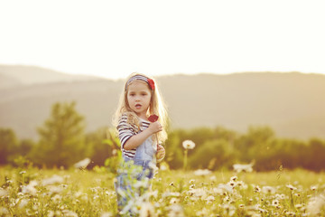 toddler girl   in daisy field