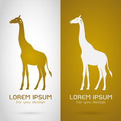 Vector image of an giraffe design on white background and browni