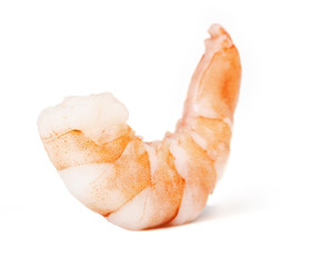 single peeled shrimp isolated on white background