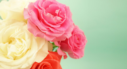 sweet color roses in soft color and blur style