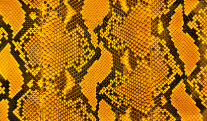 Snakeskin stripes pattern