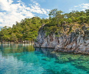 Plakat blue lagoon near rocky tree and plant covered cliff