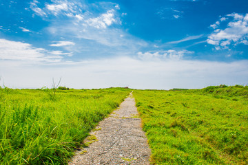 Cingshuei(Qingshui) Cliff in Taiwan