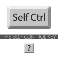 Self control key. The key graphic can be used separately. - obrazy, fototapety, plakaty