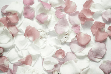 sweet color rose petals on mulberry paper texture for romantic background


