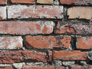 Old brick wall background