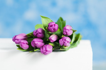 purple tulips sitting on a white crate with a sky blue background