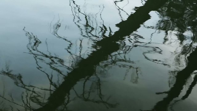 Abstract water reflection. Creative background