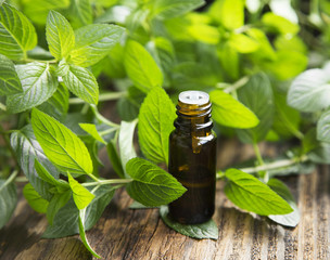 Natural Mint Essential Oil in a Little Glass Bottle