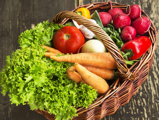 Bio Vegetables Freshly Picked, Healthy Vegetables Assortment