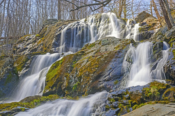 Rushing Cascade in the Early Spring