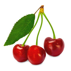 cherry
