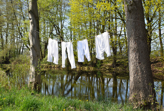 รูปภาพWeiber – เลือกดูภาพถ่ายสต็อก เวกเตอร์ และวิดีโอ453 | Adobe Stock