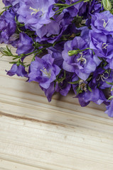 bouquet of blue bells 