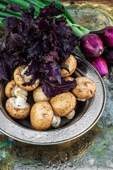 summer vegetable harvest