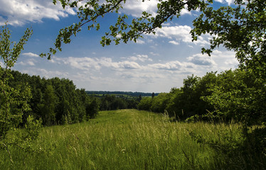Obraz premium Летний пейзаж