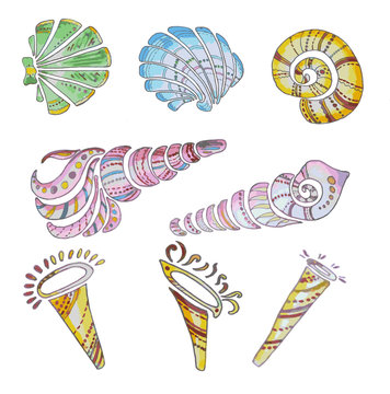 set of shells