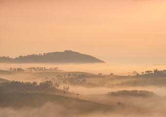 Fog covered mountains and forest in the morning.
