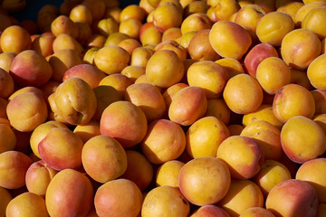 Apricots lie on the counter . Ripe fruit under the sun , feeling of freshness and health. Agricultural products. Selling fruit .