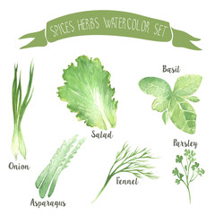 Green herbal watercolor vector spices set