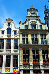 Fototapeta premium le paon et le heaulme bruxelles