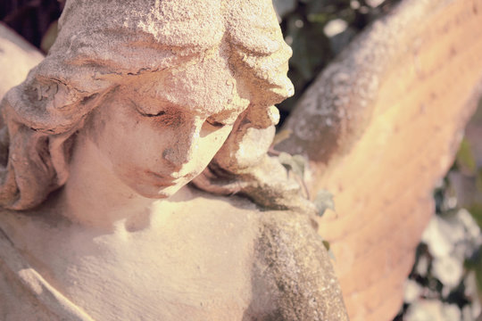 Vintage image of a sad angel on a cemetery against the backgroun