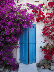 Door with flowers in Provence