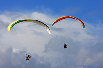 Paragliders