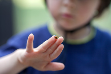 Cute little toddler boy, playing with ladybird