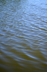 lake water with waves background