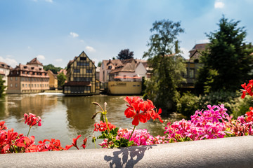 Bamberg im Frühling