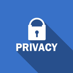 privacy flat icon
